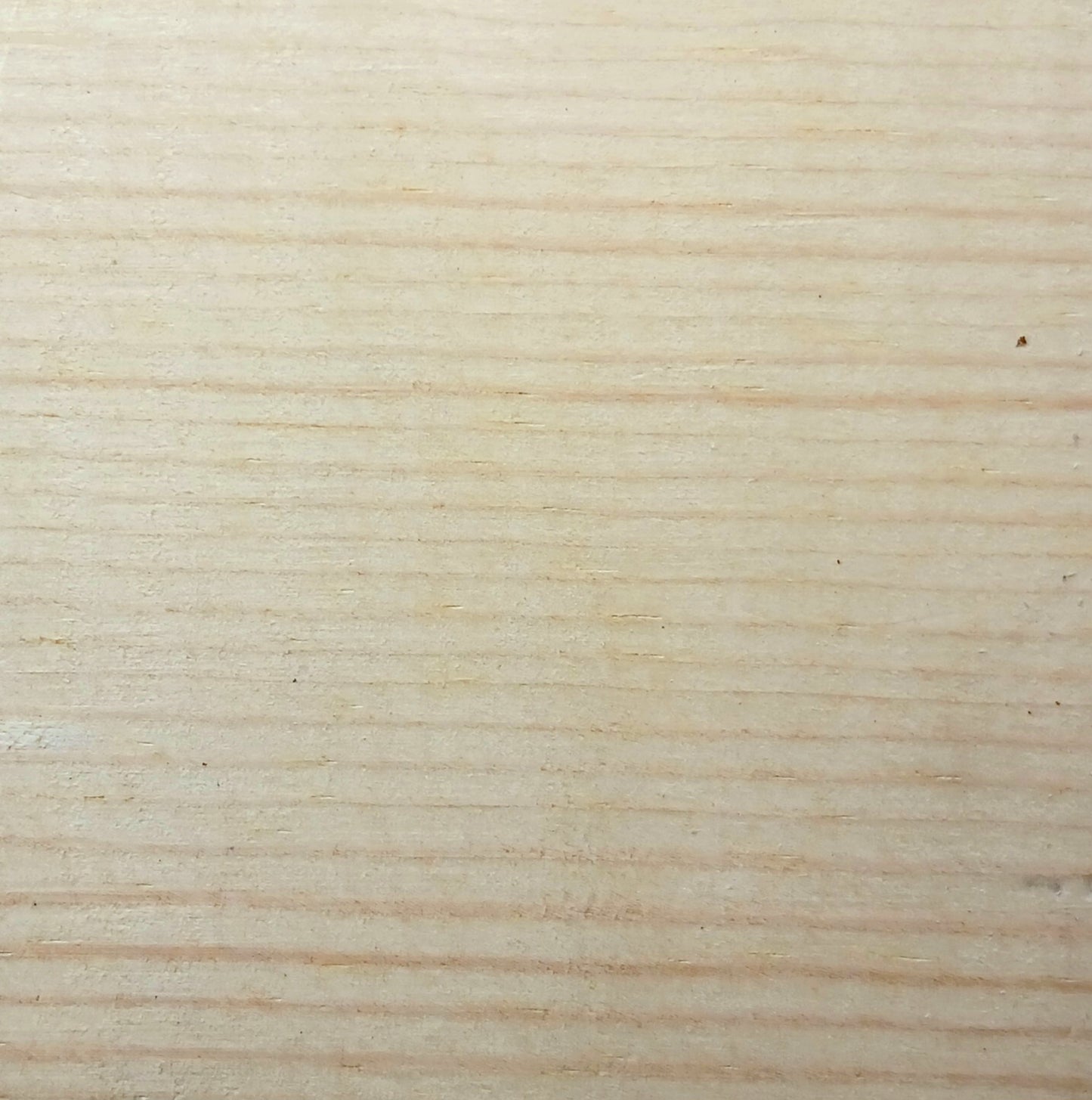 Salt & Pepper shaker set